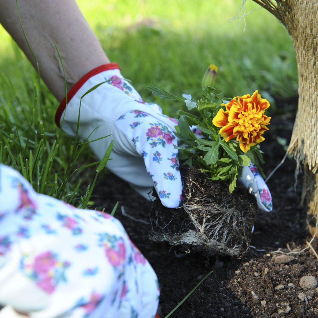 TEGERA 90014 Gartenhandschuhe Leder Damen