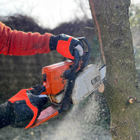 Schnittschutzhandschuhe Kettensäge Hase Forest Master