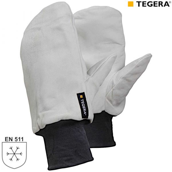 TEGERA 10 Lederhandschuhe Winter